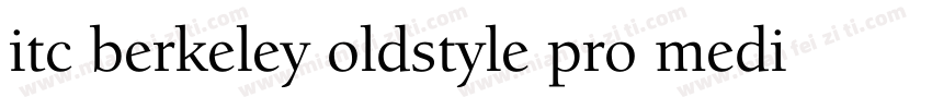 itc berkeley oldstyle pro medium字体转换